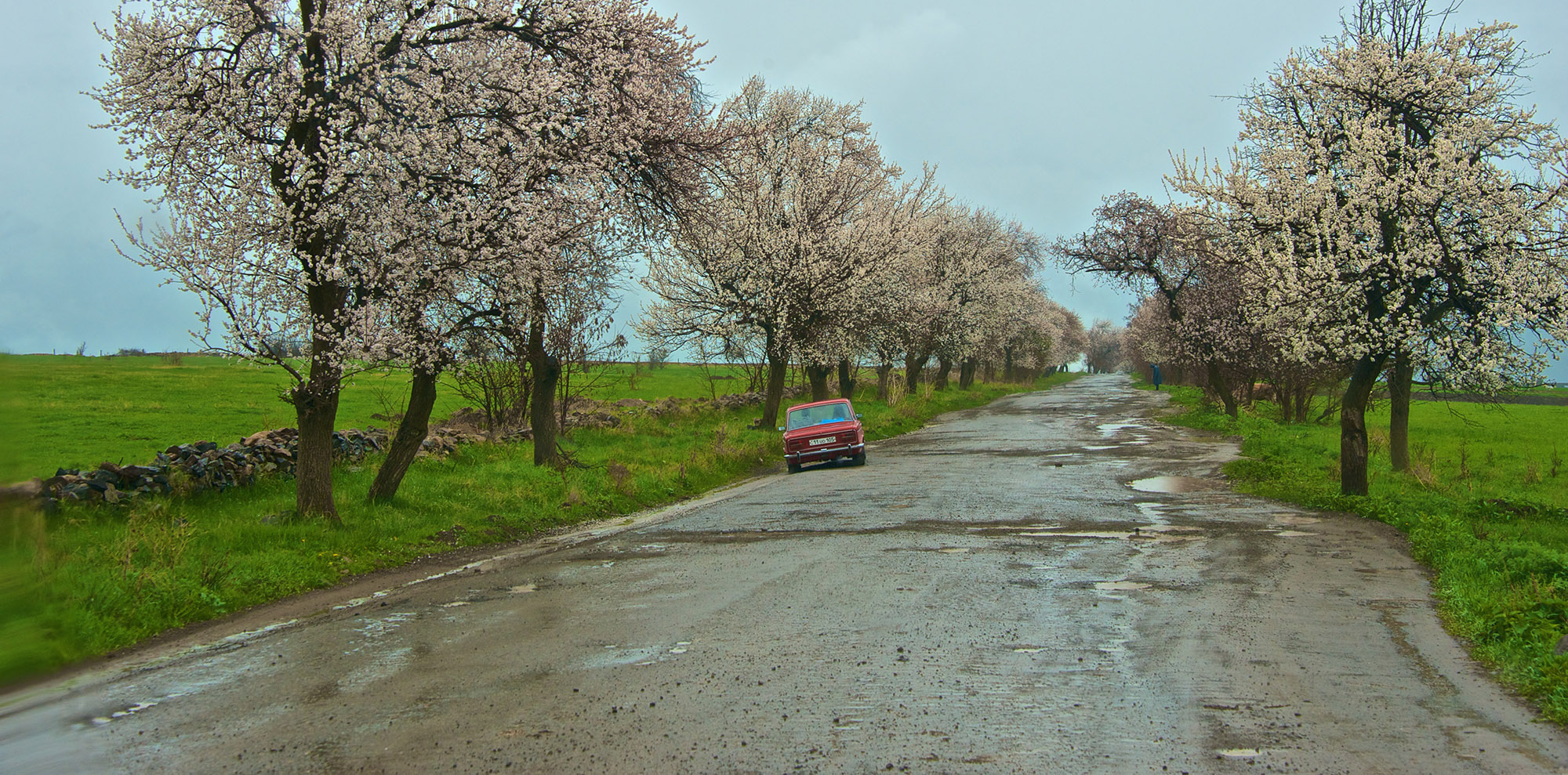Roadtrip through Eastern Europe