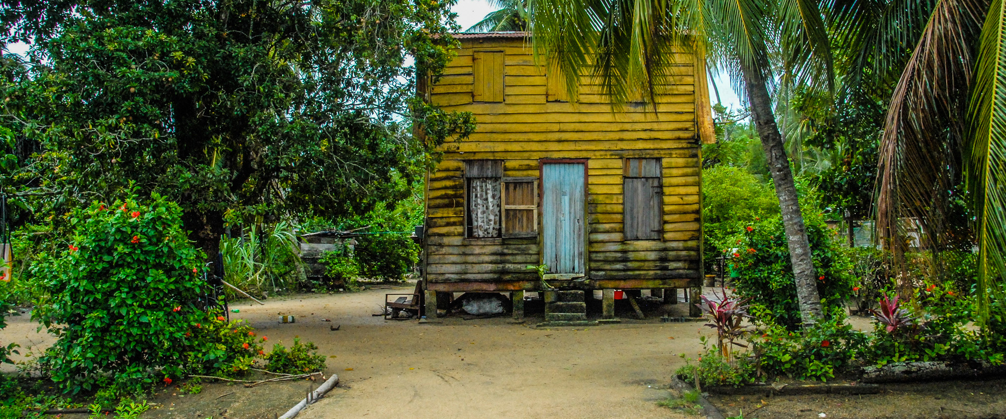 Surinam, a jungle jewel