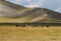2007-08-30 Mongolia