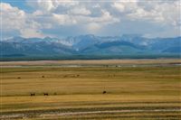 2007-08-30 Mongolia