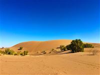 The Desert in Mersh