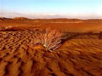 The Desert in Mersh, Iran