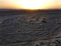 The Desert in Mersh