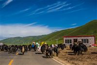 The Road to Yushu