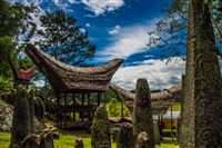2017-02-05 Toraja and the dead