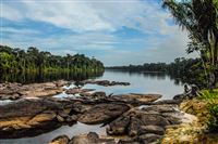 The Surinam River