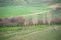 Armenia North