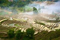 Rice Terraces in bad weather