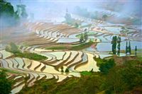 China. Rice Terraces in bad weather