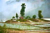 Rice Terraces in bad weather
