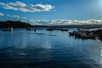 Salmon harbour Chiloé