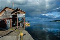 Salmon harbour Chiloé