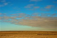 The Namib Desert
