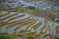 rijstterrassen van Longji