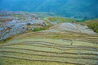 rijstterrassen van Longji