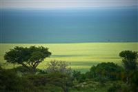 uitzicht op Serengeti